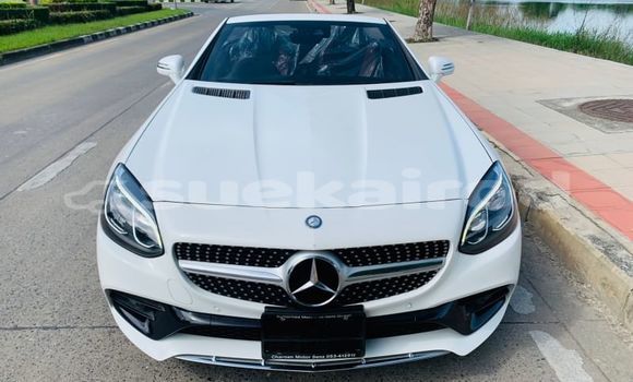 ซื้อ รถมือสอง Mercedes-Benz SLC-klasse AMG ขาว รถยนต์ ใน %{เมือง} ใน กรุงเทพมหานคร ซื้อ รถมือสอง Mercedes-Benz SLC-klasse AMG ขาว รถยนต์ ใน %{เมือง} ใน กรุงเทพมหานคร