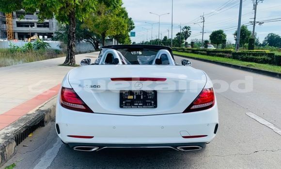 ซื้อ รถมือสอง Mercedes-Benz SLC-klasse AMG ขาว รถยนต์ ใน %{เมือง} ใน กรุงเทพมหานคร ซื้อ รถมือสอง Mercedes-Benz SLC-klasse AMG ขาว รถยนต์ ใน %{เมือง} ใน กรุงเทพมหานคร