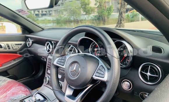 ซื้อ รถมือสอง Mercedes-Benz SLC-klasse AMG ขาว รถยนต์ ใน %{เมือง} ใน กรุงเทพมหานคร ซื้อ รถมือสอง Mercedes-Benz SLC-klasse AMG ขาว รถยนต์ ใน %{เมือง} ใน กรุงเทพมหานคร