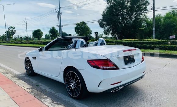 ซื้อ รถมือสอง Mercedes-Benz SLC-klasse AMG ขาว รถยนต์ ใน %{เมือง} ใน กรุงเทพมหานคร ซื้อ รถมือสอง Mercedes-Benz SLC-klasse AMG ขาว รถยนต์ ใน %{เมือง} ใน กรุงเทพมหานคร