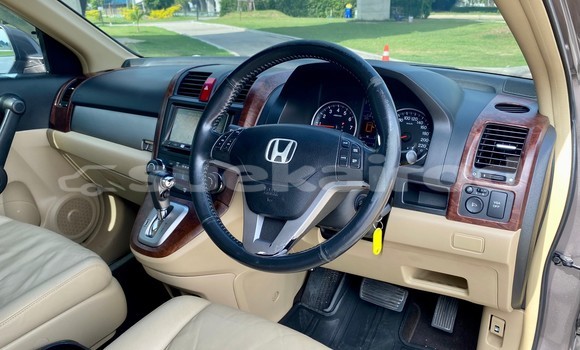 Buy Used Honda CR-V Brown Car in Bangkok in Bangkok Buy Used Honda CR-V Brown Car in Bangkok in Bangkok