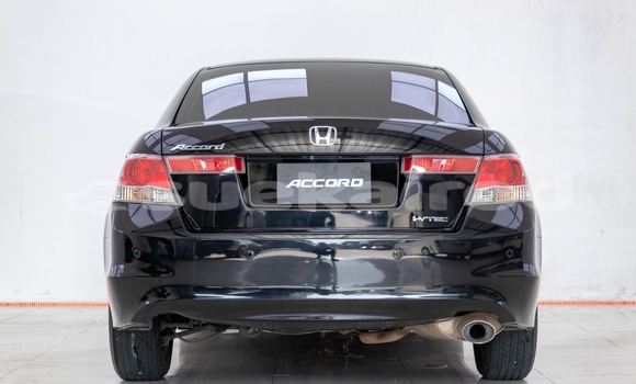 Buy Used Honda Accord Black Car in Bangkok in Bangkok Buy Used Honda Accord Black Car in Bangkok in Bangkok
