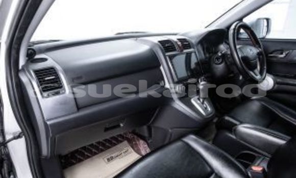 Buy Used Honda CR-V Other Car in Bangkok in Bangkok Buy Used Honda CR-V Other Car in Bangkok in Bangkok