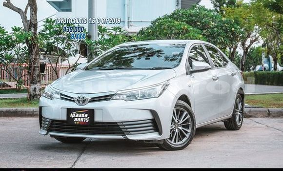 Buy Used Toyota Altis Silver Car in Bangkok in Bangkok