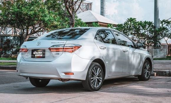 Buy Used Toyota Altis Silver Car in Bangkok in Bangkok Buy Used Toyota Altis Silver Car in Bangkok in Bangkok