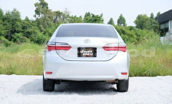 Buy Used Toyota Altis Silver Car in Bangkok in Bangkok Buy Used Toyota Altis Silver Car in Bangkok in Bangkok