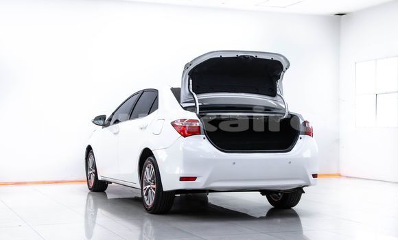 Buy Used Toyota Altis White Car in Bangkok in Bangkok Buy Used Toyota Altis White Car in Bangkok in Bangkok