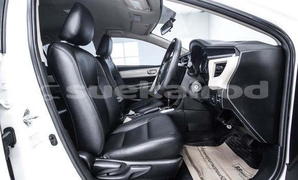 Buy Used Toyota Altis White Car in Bangkok in Bangkok Buy Used Toyota Altis White Car in Bangkok in Bangkok