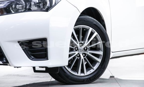 Buy Used Toyota Altis White Car in Bangkok in Bangkok Buy Used Toyota Altis White Car in Bangkok in Bangkok