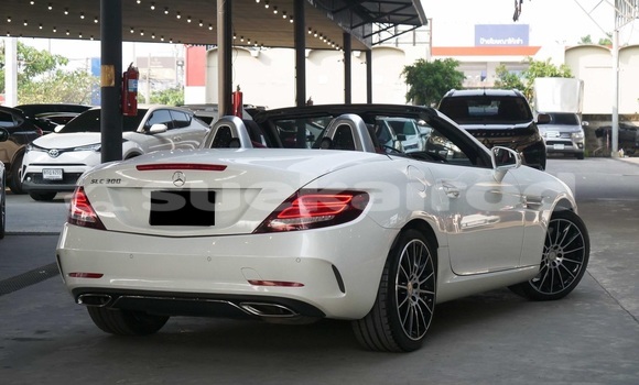 ซื้อ รถมือสอง Mercedes-Benz SLC-klasse AMG ขาว รถยนต์ ใน %{เมือง} ใน กรุงเทพมหานคร ซื้อ รถมือสอง Mercedes-Benz SLC-klasse AMG ขาว รถยนต์ ใน %{เมือง} ใน กรุงเทพมหานคร