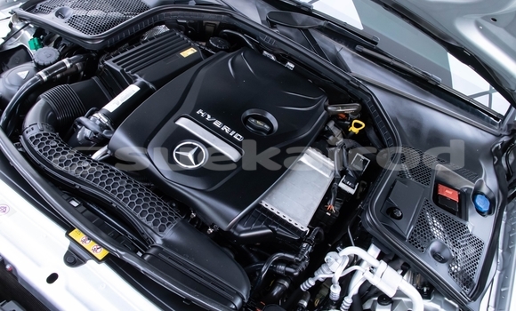 Buy Used Mercedes-Benz C-klasse AMG Other Car in Bangkok in Bangkok Buy Used Mercedes-Benz C-klasse AMG Other Car in Bangkok in Bangkok