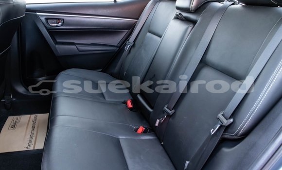 ซื้อ รถมือสอง Toyota Altis อื่น ๆ รถยนต์ ใน %{เมือง} ใน กรุงเทพมหานคร ซื้อ รถมือสอง Toyota Altis อื่น ๆ รถยนต์ ใน %{เมือง} ใน กรุงเทพมหานคร