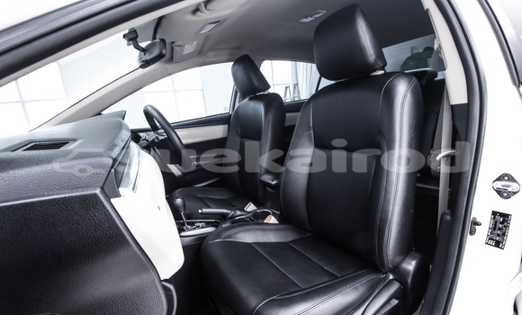 Buy Used Toyota Altis White Car in Bangkok in Bangkok Buy Used Toyota Altis White Car in Bangkok in Bangkok