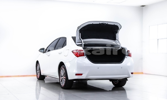 Buy Used Toyota Altis White Car in Bangkok in Bangkok Buy Used Toyota Altis White Car in Bangkok in Bangkok