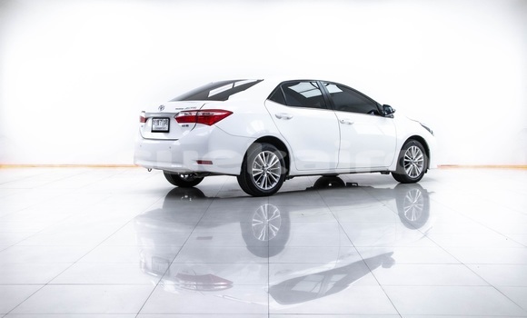 Buy Used Toyota Altis White Car in Bangkok in Bangkok Buy Used Toyota Altis White Car in Bangkok in Bangkok