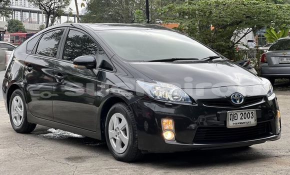 Buy Used Toyota Prius Black Car in Bangkok in Bangkok Buy Used Toyota Prius Black Car in Bangkok in Bangkok