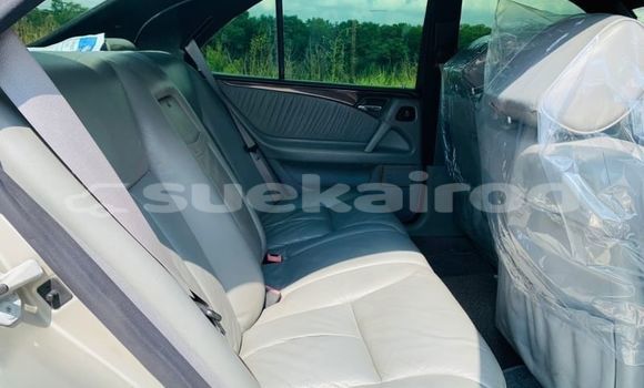 ซื้อ รถมือสอง Mercedes-Benz E-Classe อื่น ๆ รถยนต์ ใน %{เมือง} ใน กรุงเทพมหานคร ซื้อ รถมือสอง Mercedes-Benz E-Classe อื่น ๆ รถยนต์ ใน %{เมือง} ใน กรุงเทพมหานคร