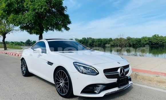 Buy Used Mercedes-Benz SLC-klasse AMG White Car in Bangkok in Bangkok Buy Used Mercedes-Benz SLC-klasse AMG White Car in Bangkok in Bangkok