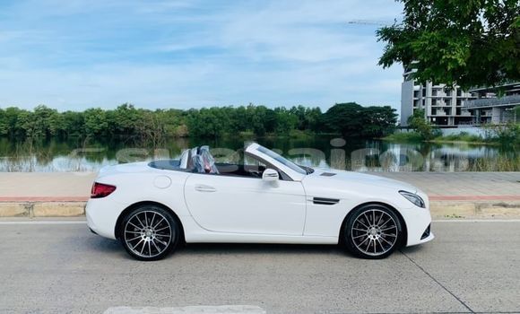 Buy Used Mercedes-Benz SLC-klasse AMG White Car in Bangkok in Bangkok Buy Used Mercedes-Benz SLC-klasse AMG White Car in Bangkok in Bangkok