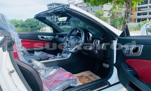 Buy Used Mercedes-Benz SLC-klasse AMG White Car in Bangkok in Bangkok Buy Used Mercedes-Benz SLC-klasse AMG White Car in Bangkok in Bangkok