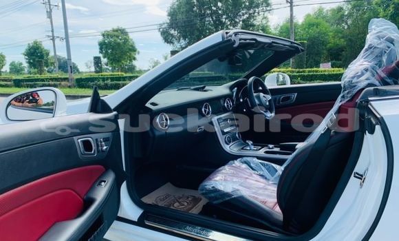 Buy Used Mercedes-Benz SLC-klasse AMG White Car in Bangkok in Bangkok Buy Used Mercedes-Benz SLC-klasse AMG White Car in Bangkok in Bangkok