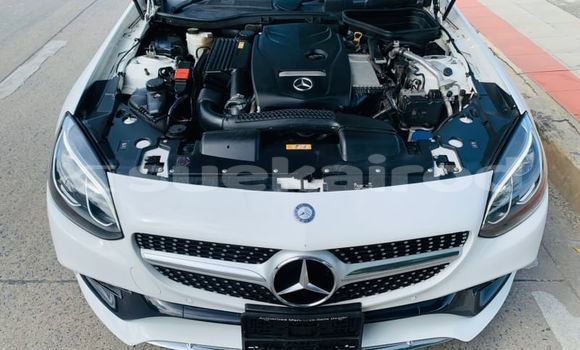 Buy Used Mercedes-Benz SLC-klasse AMG White Car in Bangkok in Bangkok Buy Used Mercedes-Benz SLC-klasse AMG White Car in Bangkok in Bangkok