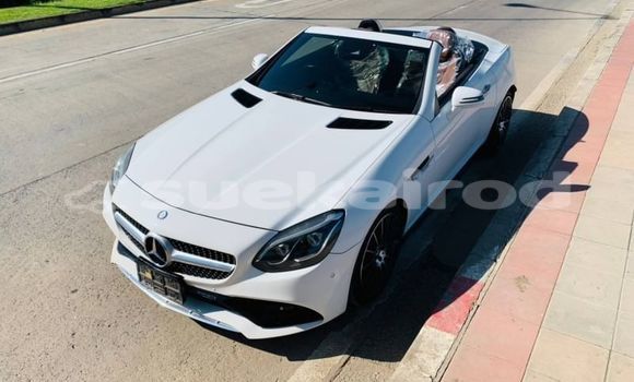 Buy Used Mercedes-Benz SLC-klasse AMG White Car in Bangkok in Bangkok