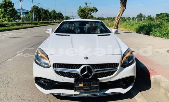 Buy Used Mercedes-Benz SLC-klasse AMG White Car in Bangkok in Bangkok Buy Used Mercedes-Benz SLC-klasse AMG White Car in Bangkok in Bangkok