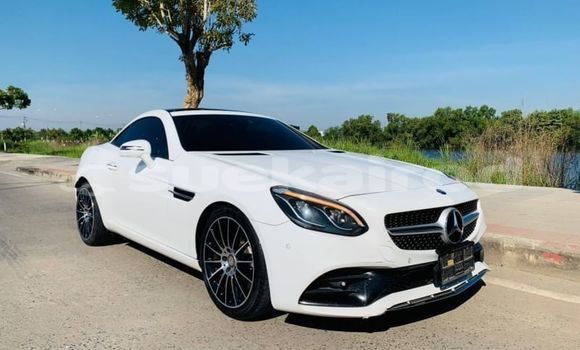 Buy Used Mercedes-Benz SLC-klasse AMG White Car in Bangkok in Bangkok Buy Used Mercedes-Benz SLC-klasse AMG White Car in Bangkok in Bangkok