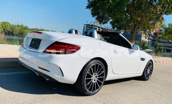 Buy Used Mercedes-Benz SLC-klasse AMG White Car in Bangkok in Bangkok Buy Used Mercedes-Benz SLC-klasse AMG White Car in Bangkok in Bangkok
