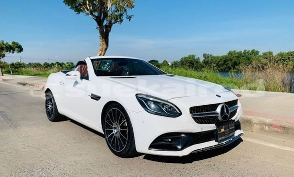 Buy Used Mercedes-Benz SLC-klasse AMG White Car in Bangkok in Bangkok Buy Used Mercedes-Benz SLC-klasse AMG White Car in Bangkok in Bangkok