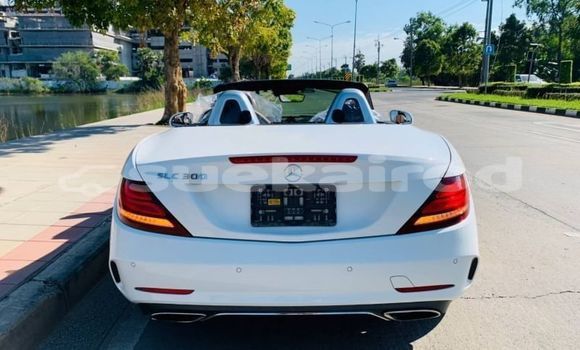 Buy Used Mercedes-Benz SLC-klasse AMG White Car in Bangkok in Bangkok Buy Used Mercedes-Benz SLC-klasse AMG White Car in Bangkok in Bangkok