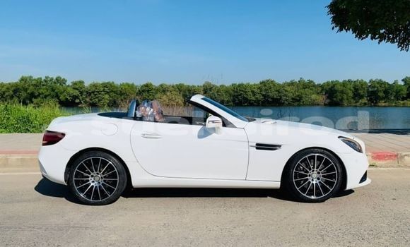 Buy Used Mercedes-Benz SLC-klasse AMG White Car in Bangkok in Bangkok Buy Used Mercedes-Benz SLC-klasse AMG White Car in Bangkok in Bangkok