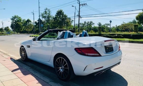 Buy Used Mercedes-Benz SLC-klasse AMG White Car in Bangkok in Bangkok Buy Used Mercedes-Benz SLC-klasse AMG White Car in Bangkok in Bangkok