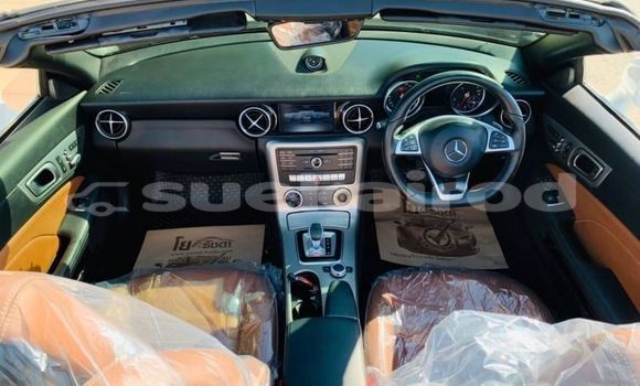 Buy Used Mercedes-Benz SLC-klasse AMG White Car in Bangkok in Bangkok Buy Used Mercedes-Benz SLC-klasse AMG White Car in Bangkok in Bangkok