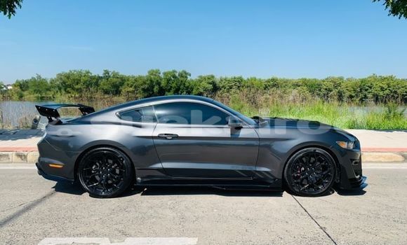Buy Used Ford Mustang Other Car in Bangkok in Bangkok Buy Used Ford Mustang Other Car in Bangkok in Bangkok