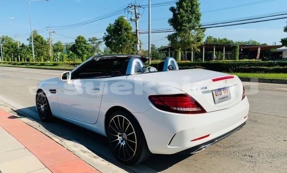 Buy Used Mercedes-Benz SLC-klasse AMG White Car in Bangkok in Bangkok Buy Used Mercedes-Benz SLC-klasse AMG White Car in Bangkok in Bangkok