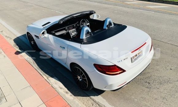 Buy Used Mercedes-Benz SLC-klasse AMG White Car in Bangkok in Bangkok Buy Used Mercedes-Benz SLC-klasse AMG White Car in Bangkok in Bangkok