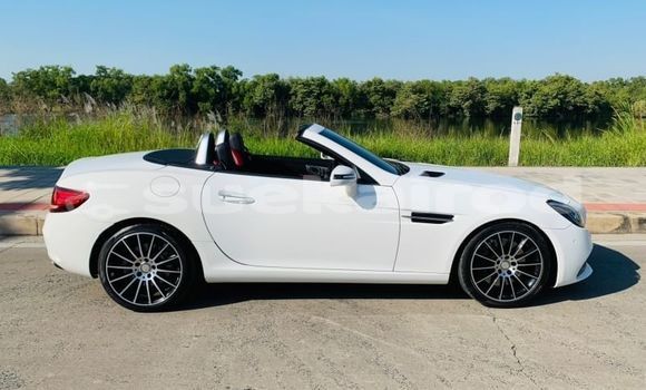 Buy Used Mercedes-Benz SLC-klasse AMG White Car in Bangkok in Bangkok Buy Used Mercedes-Benz SLC-klasse AMG White Car in Bangkok in Bangkok