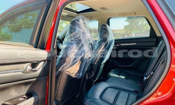 Buy Used Mazda CX-5 Red Car in Bangkok in Bangkok Buy Used Mazda CX-5 Red Car in Bangkok in Bangkok