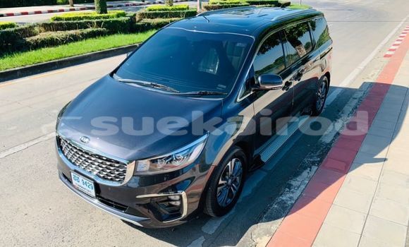 ซื้อ รถมือสอง Kia Carnival อื่น ๆ รถยนต์ ใน %{เมือง} ใน กรุงเทพมหานคร