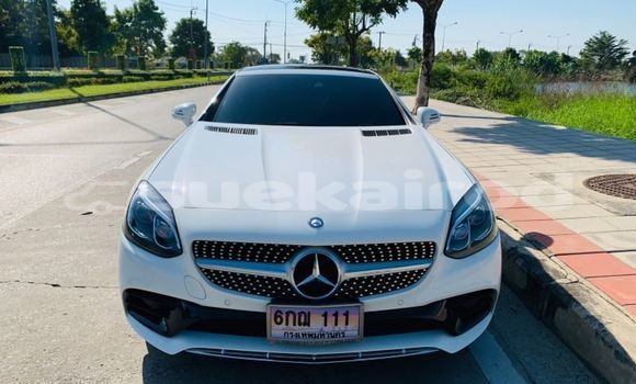 ซื้อ รถมือสอง Mercedes-Benz SLC-klasse AMG ขาว รถยนต์ ใน %{เมือง} ใน กรุงเทพมหานคร ซื้อ รถมือสอง Mercedes-Benz SLC-klasse AMG ขาว รถยนต์ ใน %{เมือง} ใน กรุงเทพมหานคร