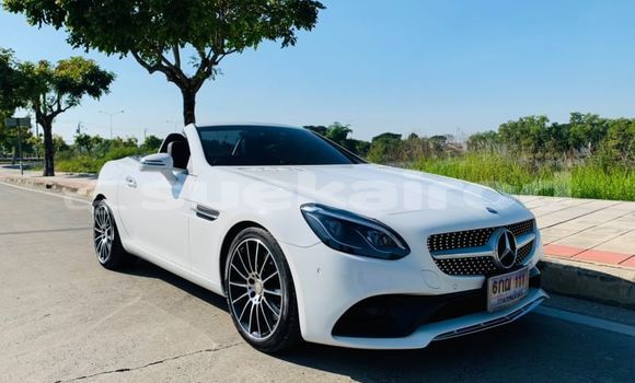 ซื้อ รถมือสอง Mercedes-Benz SLC-klasse AMG ขาว รถยนต์ ใน %{เมือง} ใน กรุงเทพมหานคร ซื้อ รถมือสอง Mercedes-Benz SLC-klasse AMG ขาว รถยนต์ ใน %{เมือง} ใน กรุงเทพมหานคร