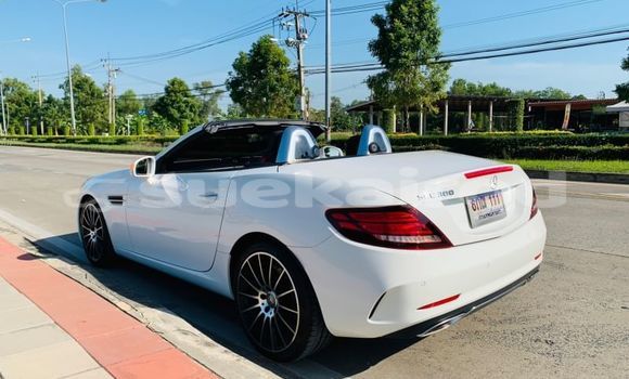 ซื้อ รถมือสอง Mercedes-Benz SLC-klasse AMG ขาว รถยนต์ ใน %{เมือง} ใน กรุงเทพมหานคร ซื้อ รถมือสอง Mercedes-Benz SLC-klasse AMG ขาว รถยนต์ ใน %{เมือง} ใน กรุงเทพมหานคร