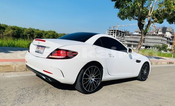 ซื้อ รถมือสอง Mercedes-Benz SLC-klasse AMG ขาว รถยนต์ ใน %{เมือง} ใน กรุงเทพมหานคร ซื้อ รถมือสอง Mercedes-Benz SLC-klasse AMG ขาว รถยนต์ ใน %{เมือง} ใน กรุงเทพมหานคร