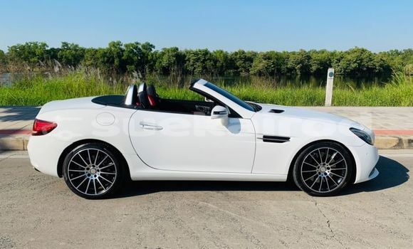 ซื้อ รถมือสอง Mercedes-Benz SLC-klasse AMG ขาว รถยนต์ ใน %{เมือง} ใน กรุงเทพมหานคร ซื้อ รถมือสอง Mercedes-Benz SLC-klasse AMG ขาว รถยนต์ ใน %{เมือง} ใน กรุงเทพมหานคร