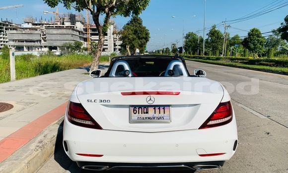 ซื้อ รถมือสอง Mercedes-Benz SLC-klasse AMG ขาว รถยนต์ ใน %{เมือง} ใน กรุงเทพมหานคร ซื้อ รถมือสอง Mercedes-Benz SLC-klasse AMG ขาว รถยนต์ ใน %{เมือง} ใน กรุงเทพมหานคร