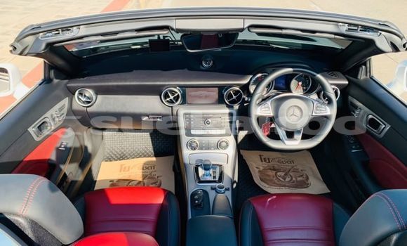 ซื้อ รถมือสอง Mercedes-Benz SLC-klasse AMG ขาว รถยนต์ ใน %{เมือง} ใน กรุงเทพมหานคร ซื้อ รถมือสอง Mercedes-Benz SLC-klasse AMG ขาว รถยนต์ ใน %{เมือง} ใน กรุงเทพมหานคร
