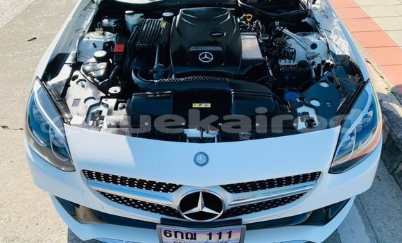 ซื้อ รถมือสอง Mercedes-Benz SLC-klasse AMG ขาว รถยนต์ ใน %{เมือง} ใน กรุงเทพมหานคร ซื้อ รถมือสอง Mercedes-Benz SLC-klasse AMG ขาว รถยนต์ ใน %{เมือง} ใน กรุงเทพมหานคร