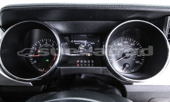 ซื้อ รถมือสอง FORD MUSTANG สีแดง รถยนต์ ใน %{เมือง} ใน กรุงเทพมหานคร ซื้อ รถมือสอง FORD MUSTANG สีแดง รถยนต์ ใน %{เมือง} ใน กรุงเทพมหานคร